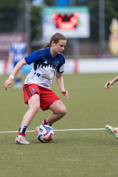 Bild 200 - wBJ Hamburger SV - FC Suederelbe : Ergebnis: 9:0